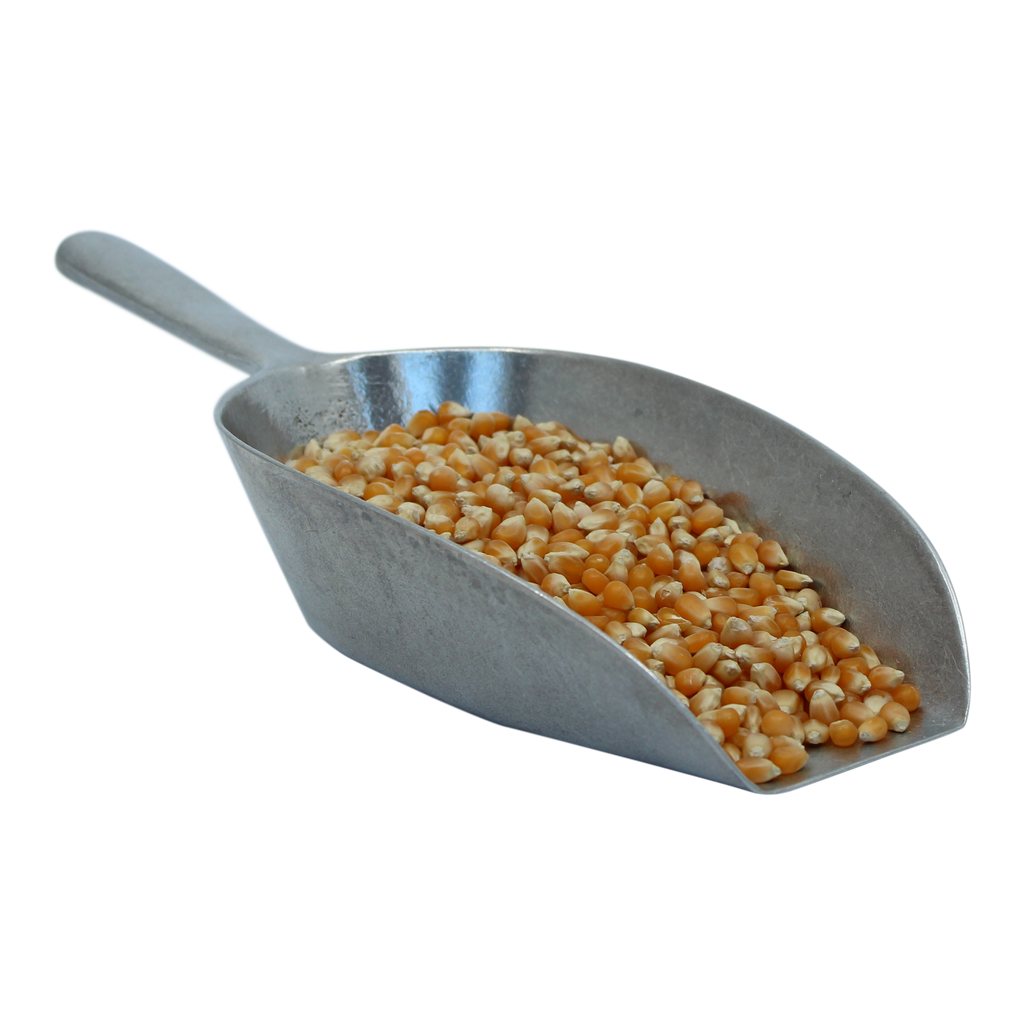Organic Popcorn Kernels Konrads Specialty Foods Ingredients organic-popcorn-kernels-konrads-specialty-foods-ingredients