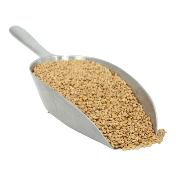 Wheat Berries